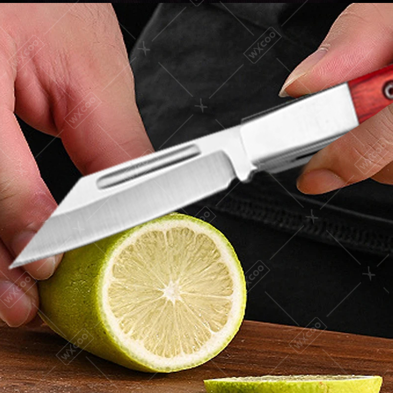 Pisau Lipat Baja Tahan Karat G - Kitchen Q ulasan dan harga
